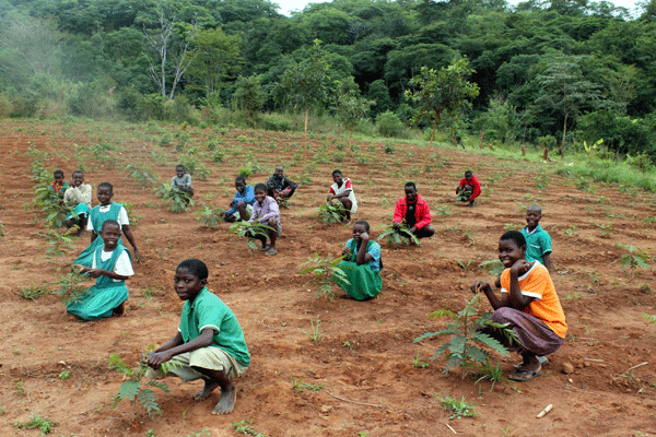 tree-planting-volunteer-projects-at-kitara-foundation